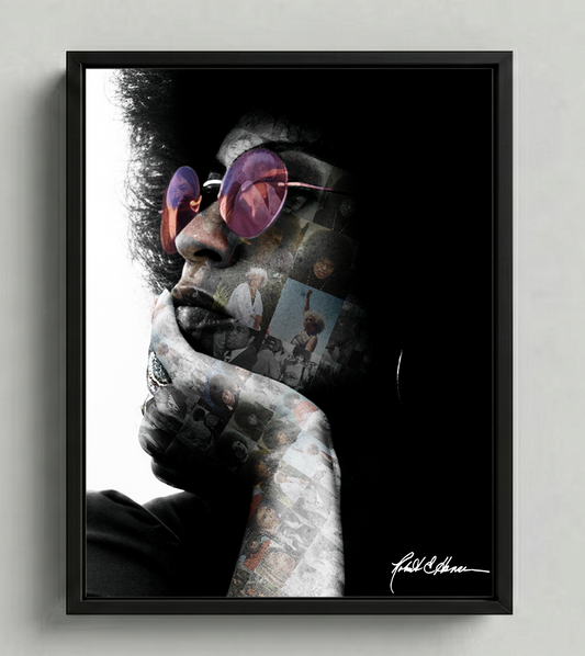 ANGELA DAVIS COLLECTION - FRAMED PRINT