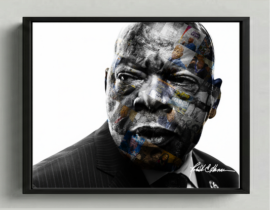 JOHN LEWIS COLLECTION - FRAMED PRINT