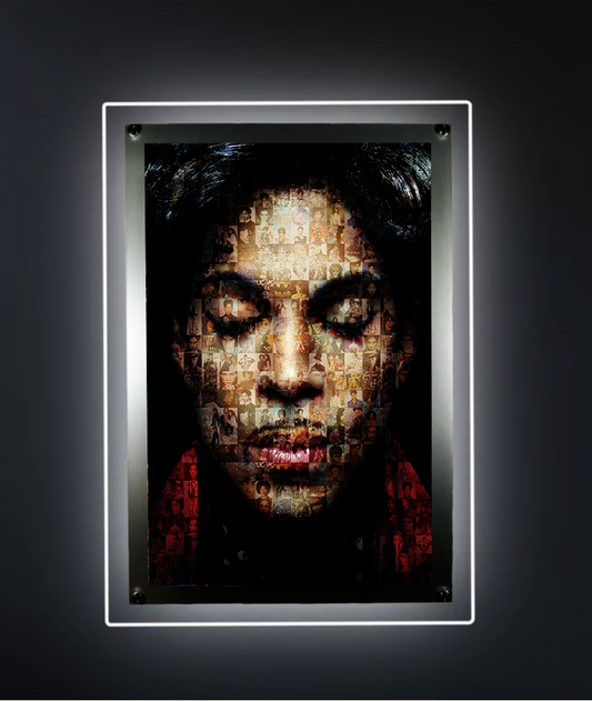 PRINCE COLLECTION - HALO FRAME