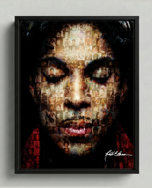 PRINCE COLLECTION - FRAMED PRINT