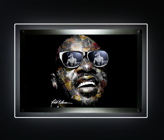 STEVIE WONDER COLLECTION - HALO FRAME
